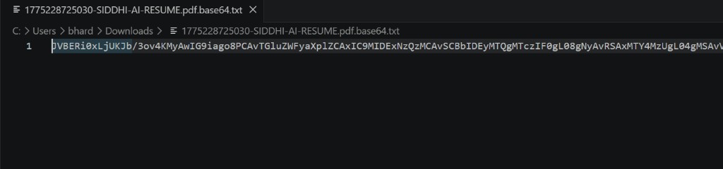Data Sanitization Tool